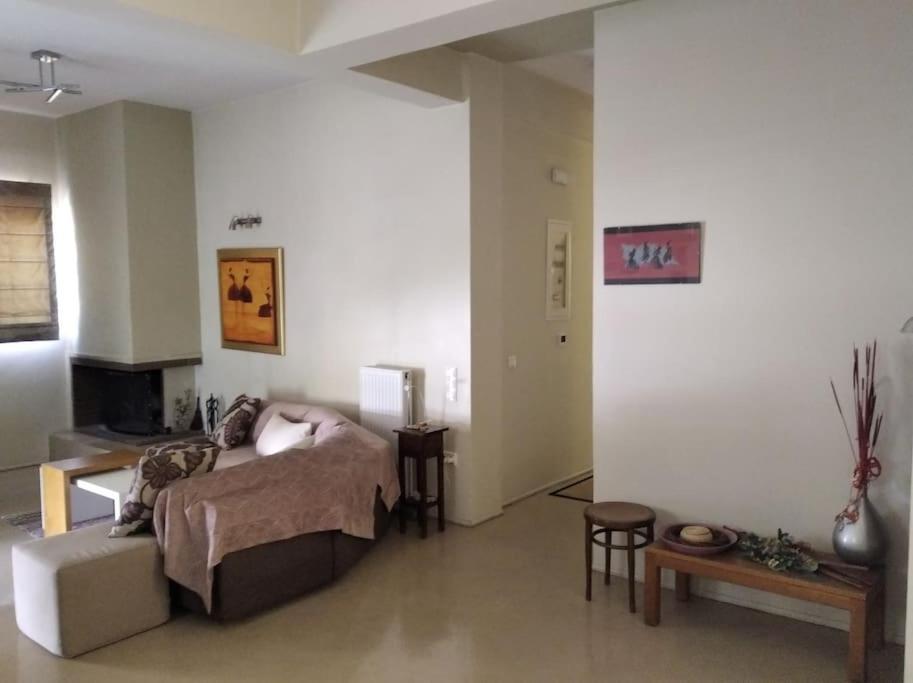 Platonos Academy Appartment Αθήνα Εξωτερικό φωτογραφία