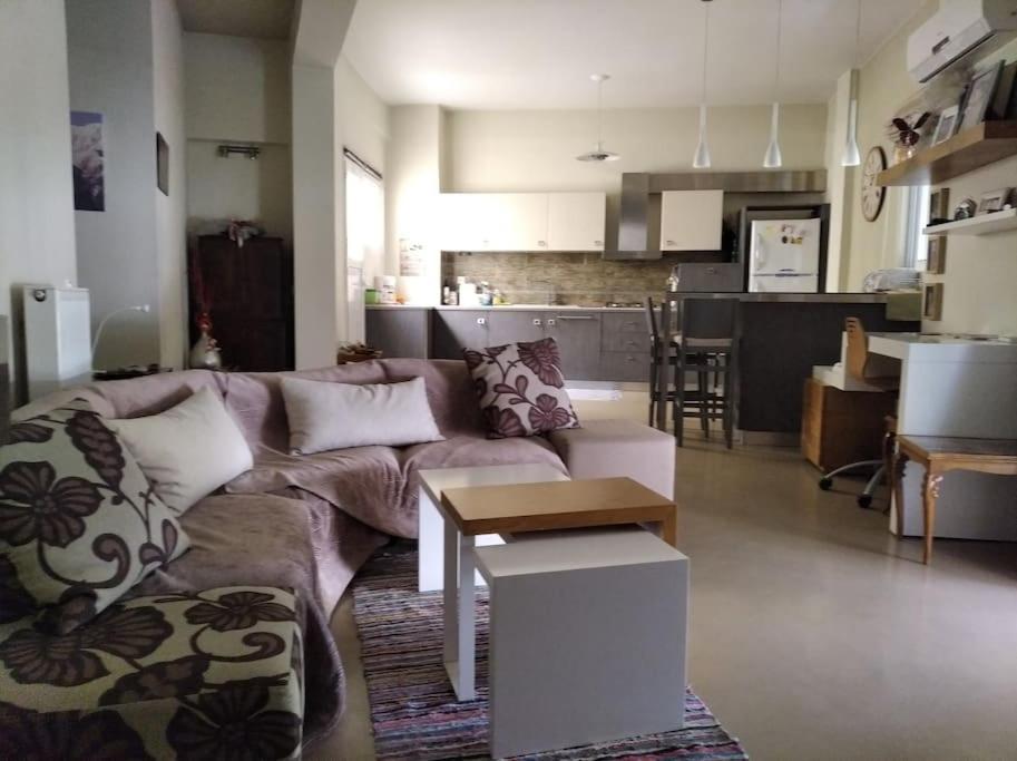 Platonos Academy Appartment Αθήνα Εξωτερικό φωτογραφία